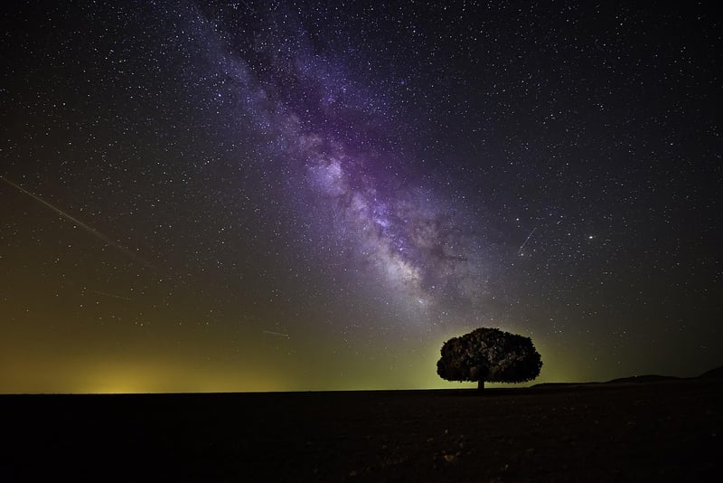 Meteor Showers